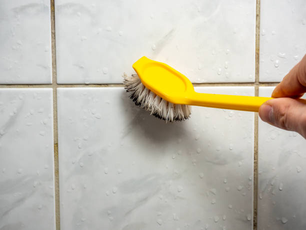 Best Toxic Mold Removal  in Columbia, PA