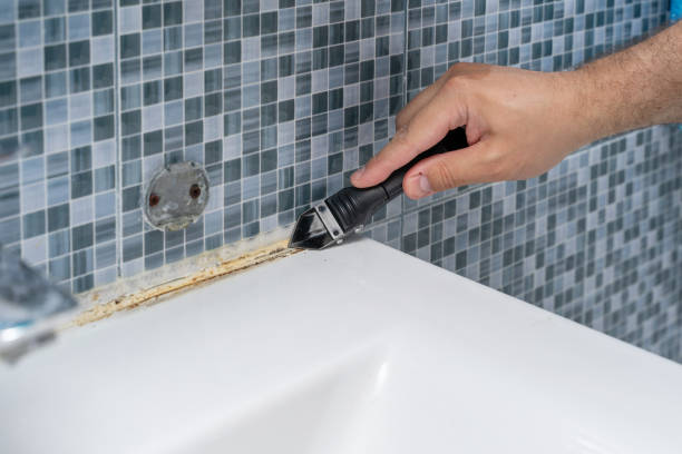 Best Office Mold Removal Services  in Columbia, PA