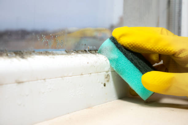 Best Crawl Space Mold Removal  in Columbia, PA
