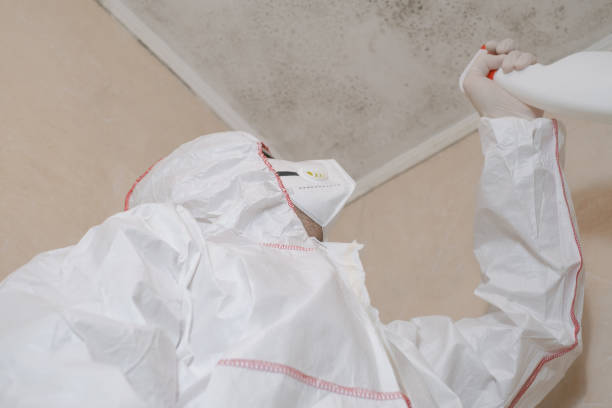 Best Certified Mold Removal  in Columbia, PA